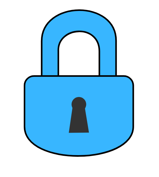 SSL DV.png