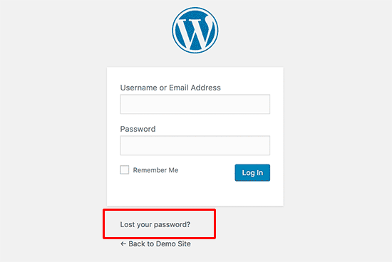 forgot my wordpress password