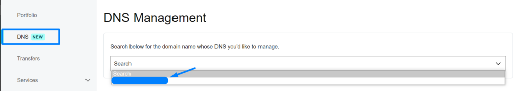 DNS management option