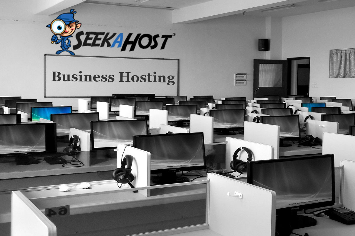 Business web Hosting Services