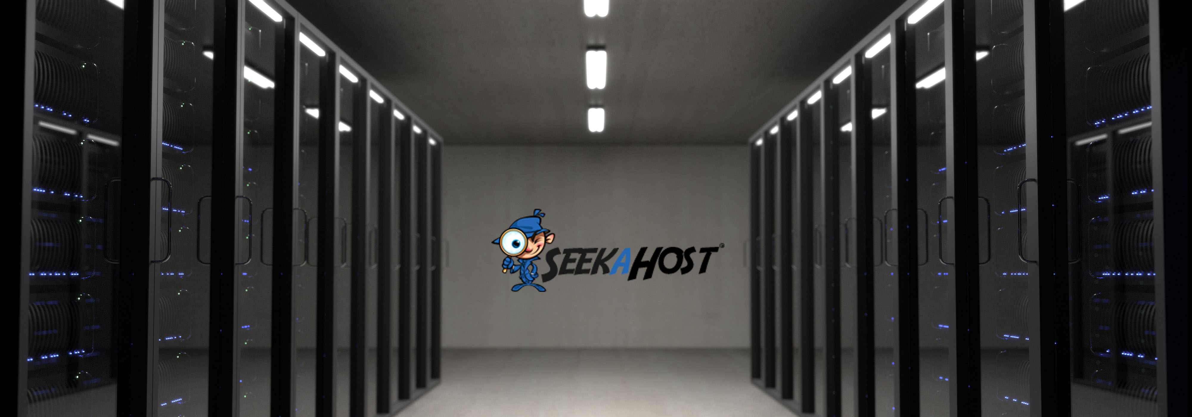 business hosting in seekahost