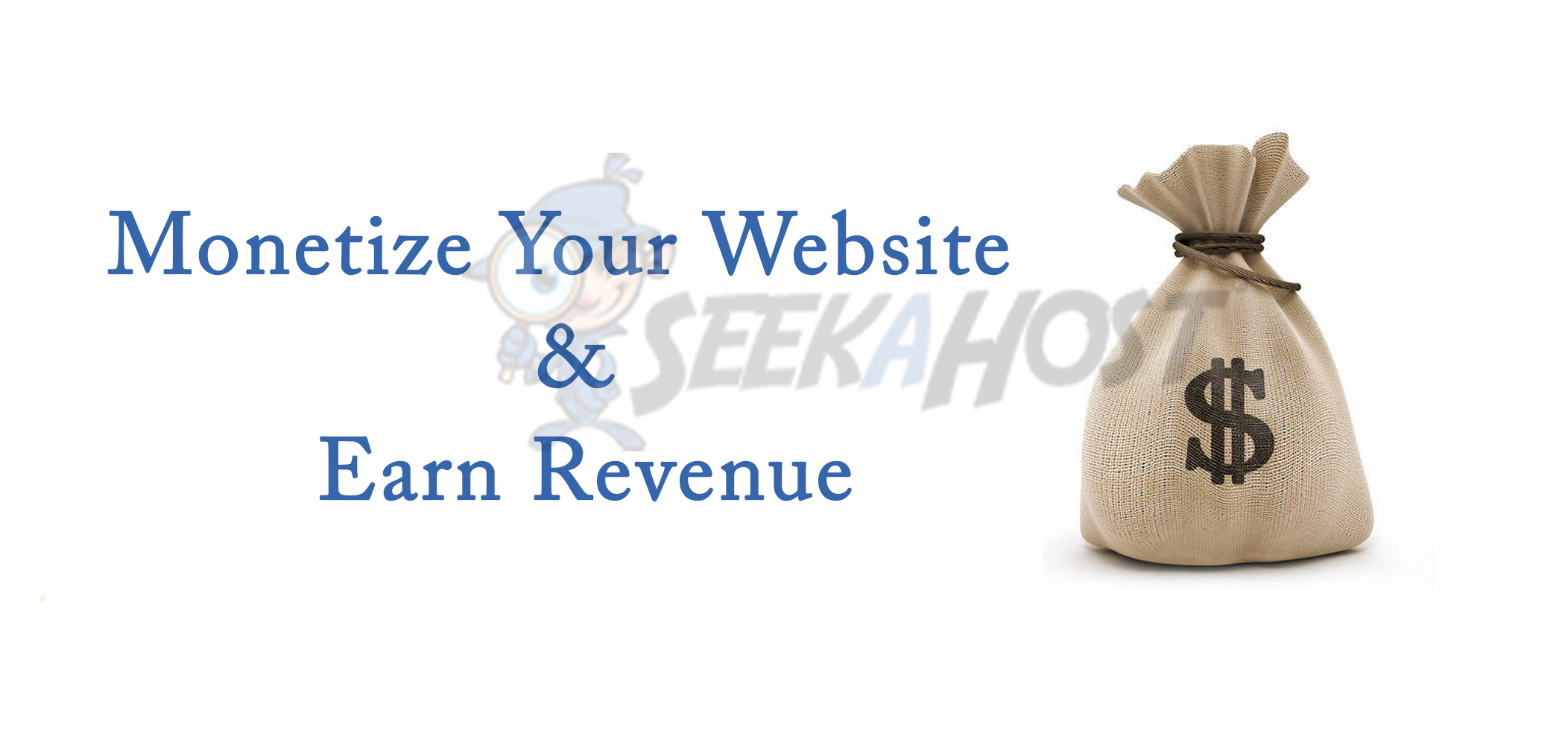 Monetize Your Website & Earn Revenue
