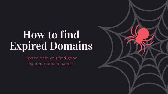 tips-to-find-expired-domains