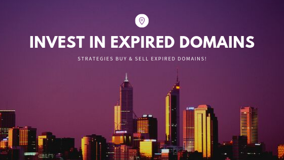 invest-in-expired-domains
