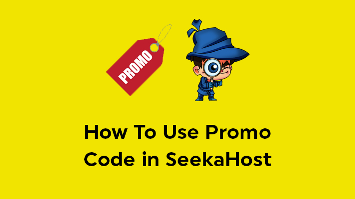 How To Use Promo Code in SeekaHost