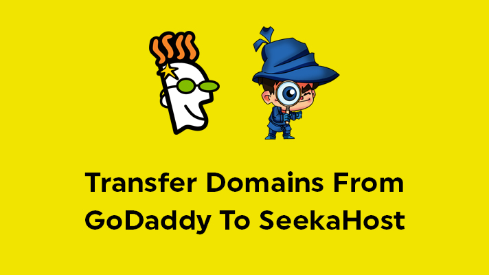 Transfer Domains From GoDaddy To SeekaHost