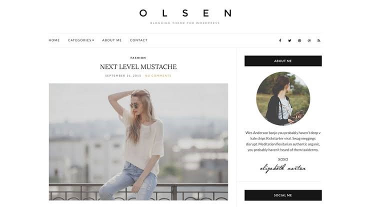 Olsen Light Free Theme For Lifestyle Olsen Light Free Theme For Lifestyle