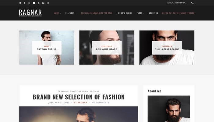 Ragnar Lite - Free WordPress Theme Ragnar Lite - Free WordPress Theme