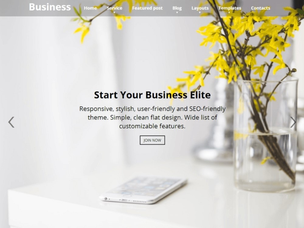 Business Elite Free WordPress Theme Business Elite Free WordPress Theme