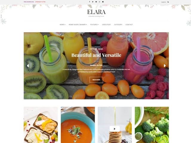 Elara Free Theme For WordPress