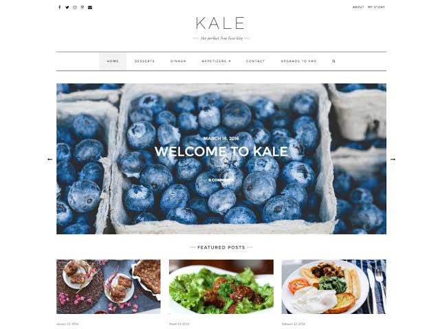 Kale - Free WordPress Theme