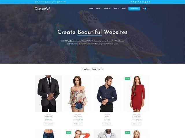 OceanWP Theme