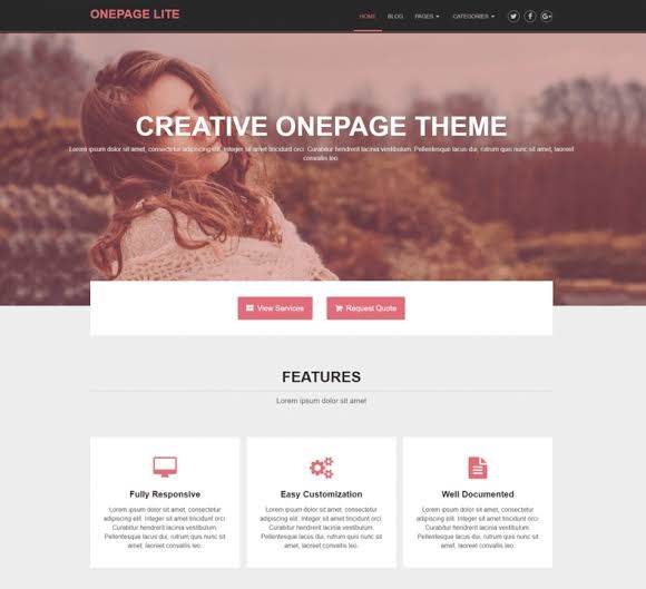 OnePage Lite - Free Wordpress Themes