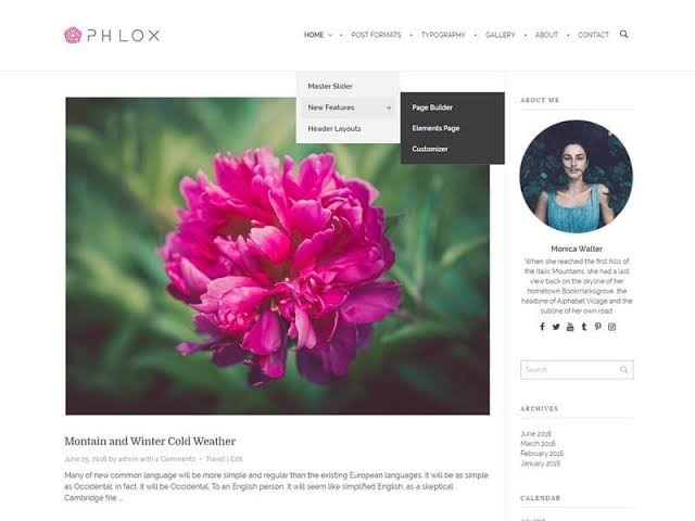 Phlox For WordPress