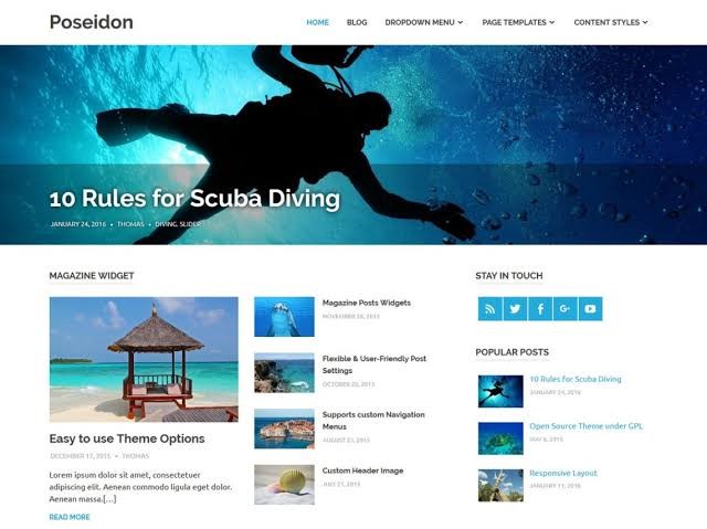 Poseidon WordPress Theme For Any Industry