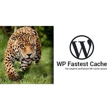 WP Fastest Cache