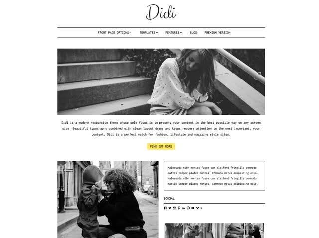 Didi WordPress Theme Didi WordPress Theme