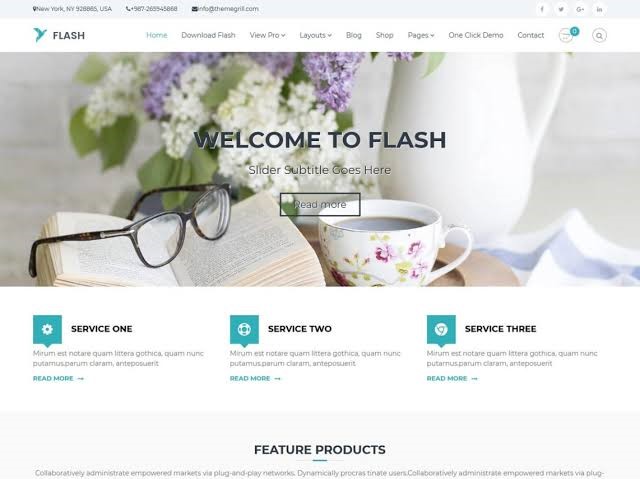 Flash WordPress Theme For Free Flash WordPress Theme For Free