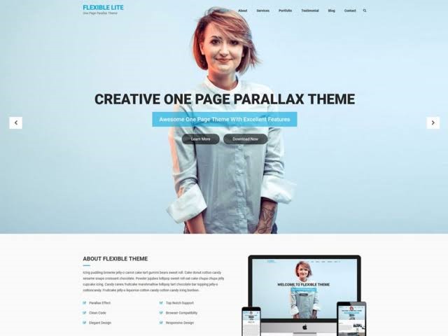 Flexible Lite WordPress Theme for Free Flexible Lite WordPress Theme for Free
