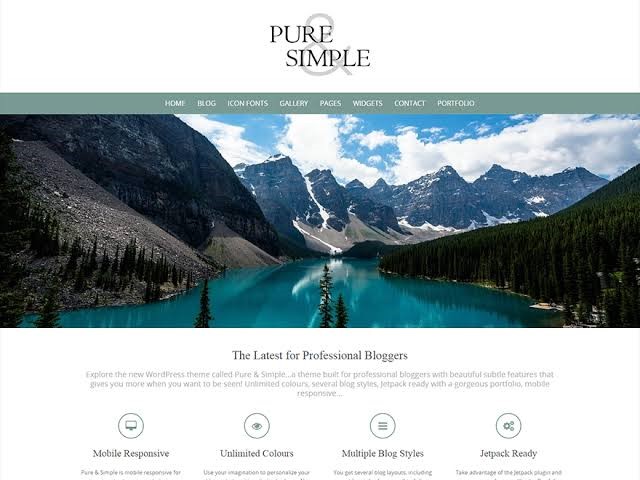 Pure & Simple Theme Pure & Simple Theme