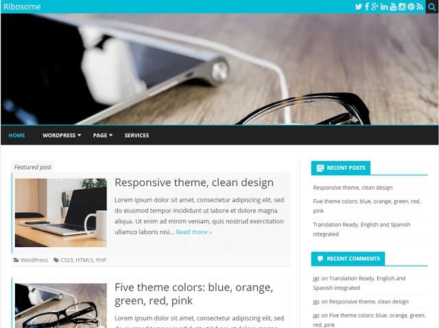 Ribosome Free WordPress Theme Ribosome Free WordPress Theme