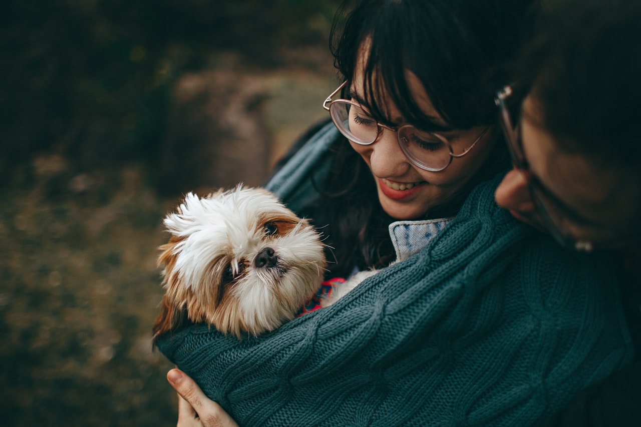 Pet Sitting to Make Money