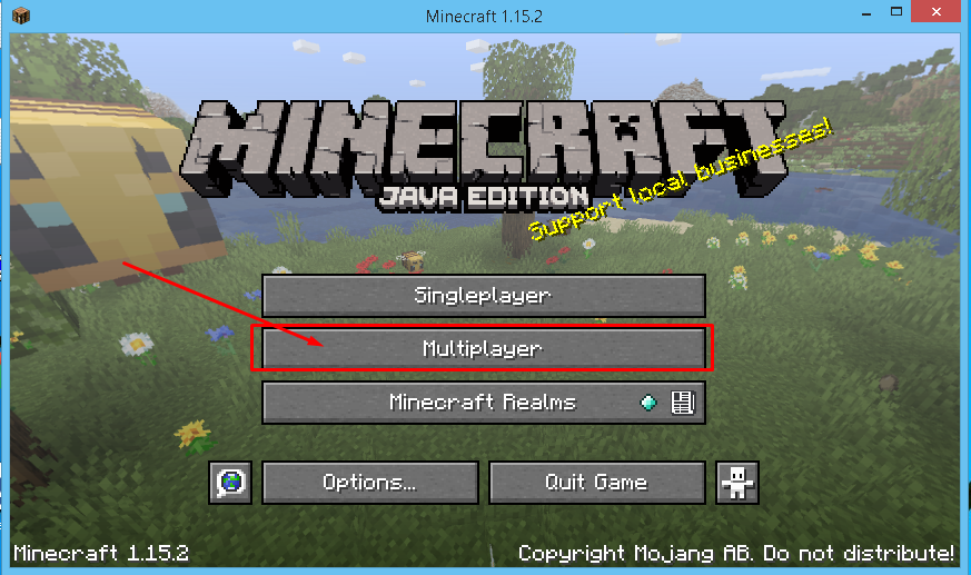 Minecraft online gameplay