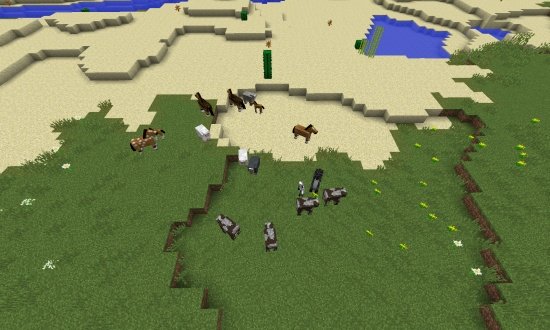 Horses and Desert Village