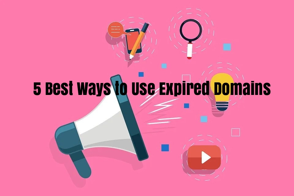 What happens to expired domains?
