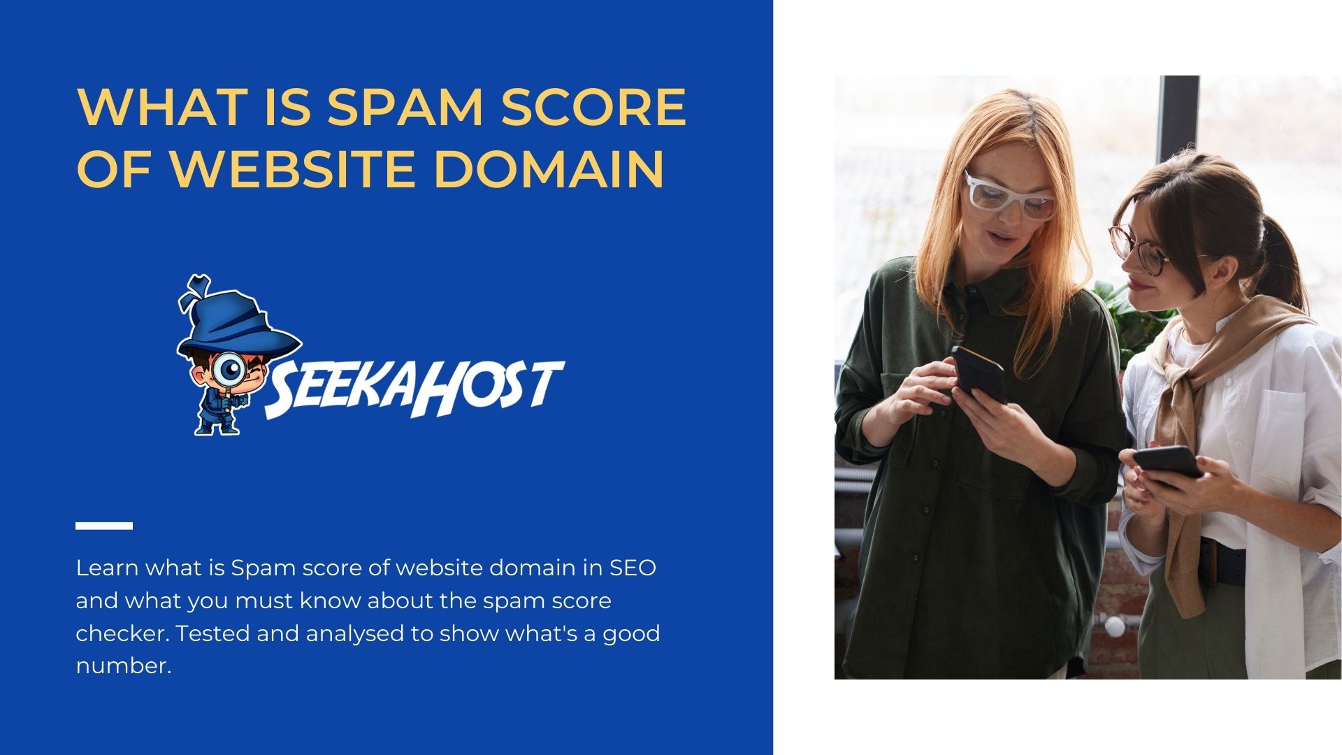 Spam-Score-of-Website-Domain