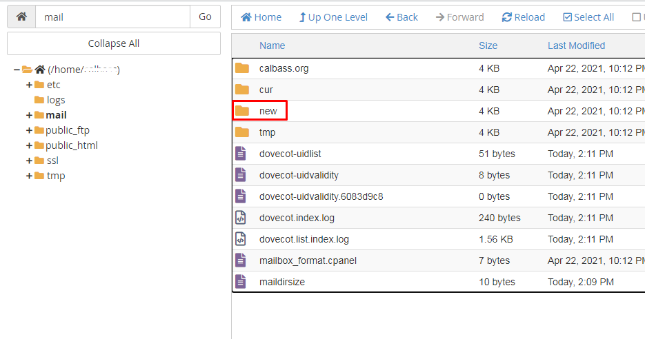 New folder in cPanel