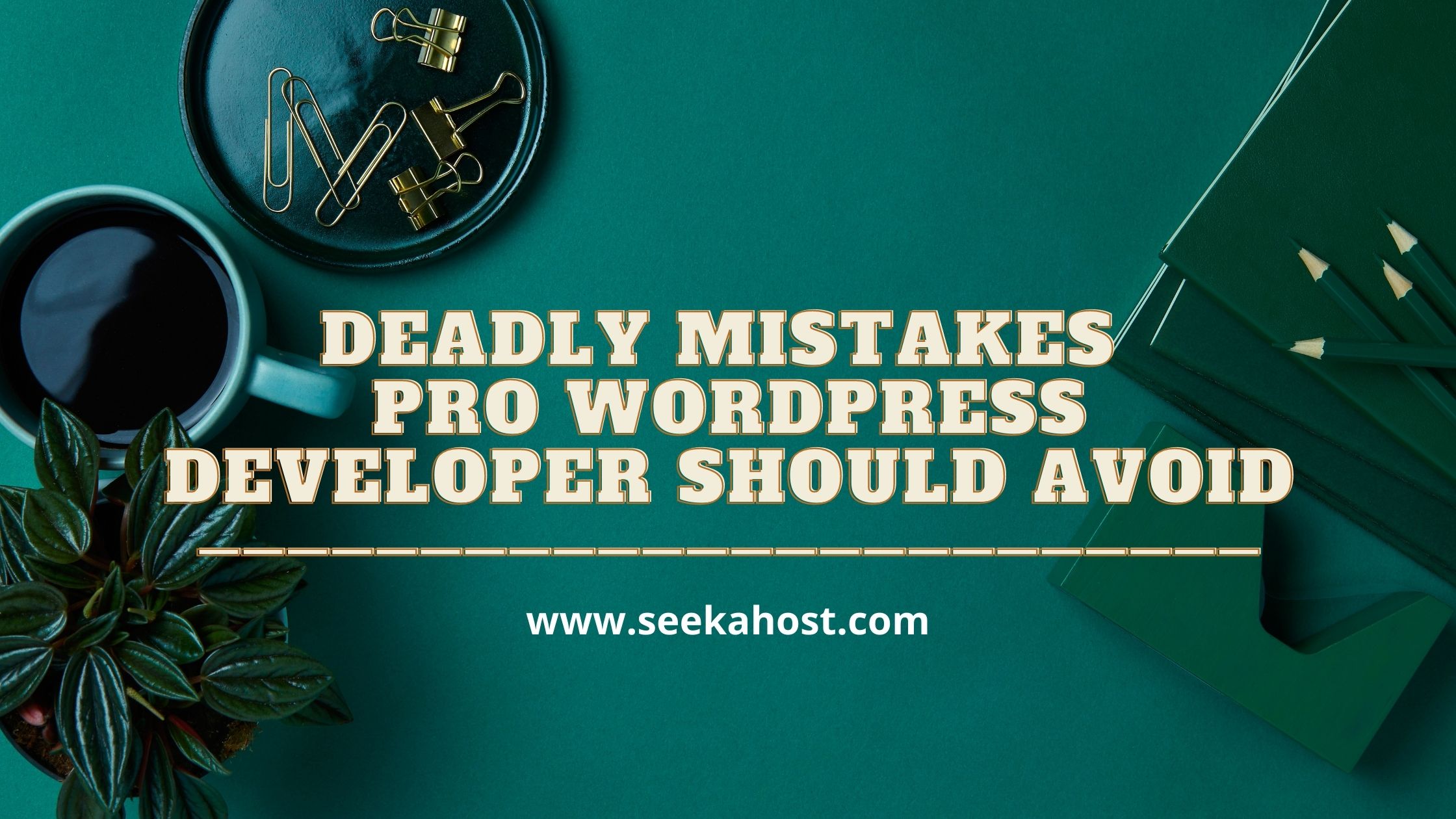 Wordpress developers mistakes