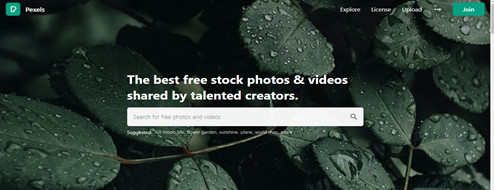 Pexels-stock-photo-platform-for-bloggers