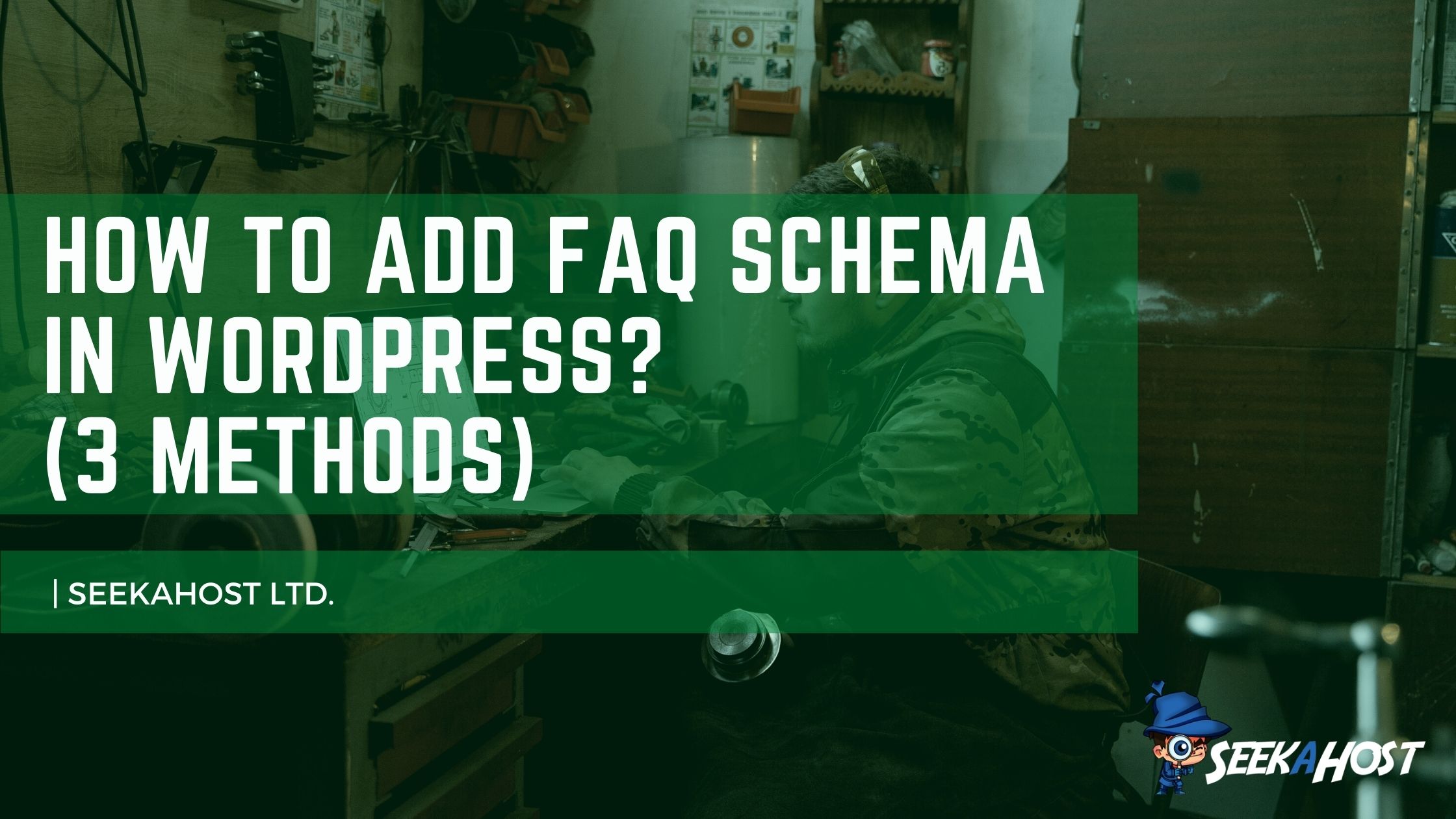 Add FAQ Schema in WordPress