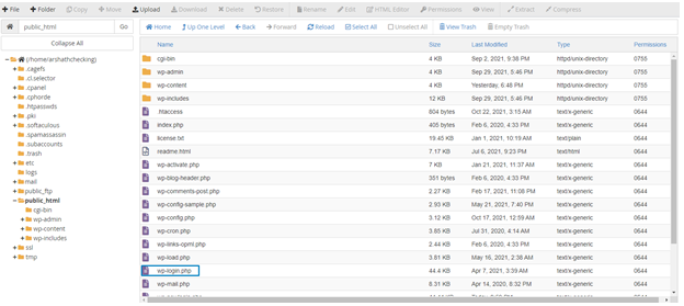 Editing wp-config file