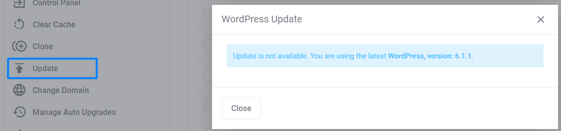 WordPress Update