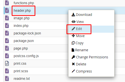 edit header file of the active theme