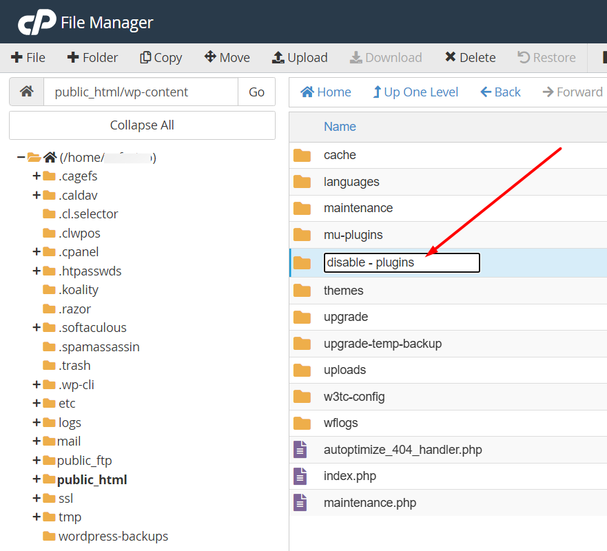 Disable Plugin Folder