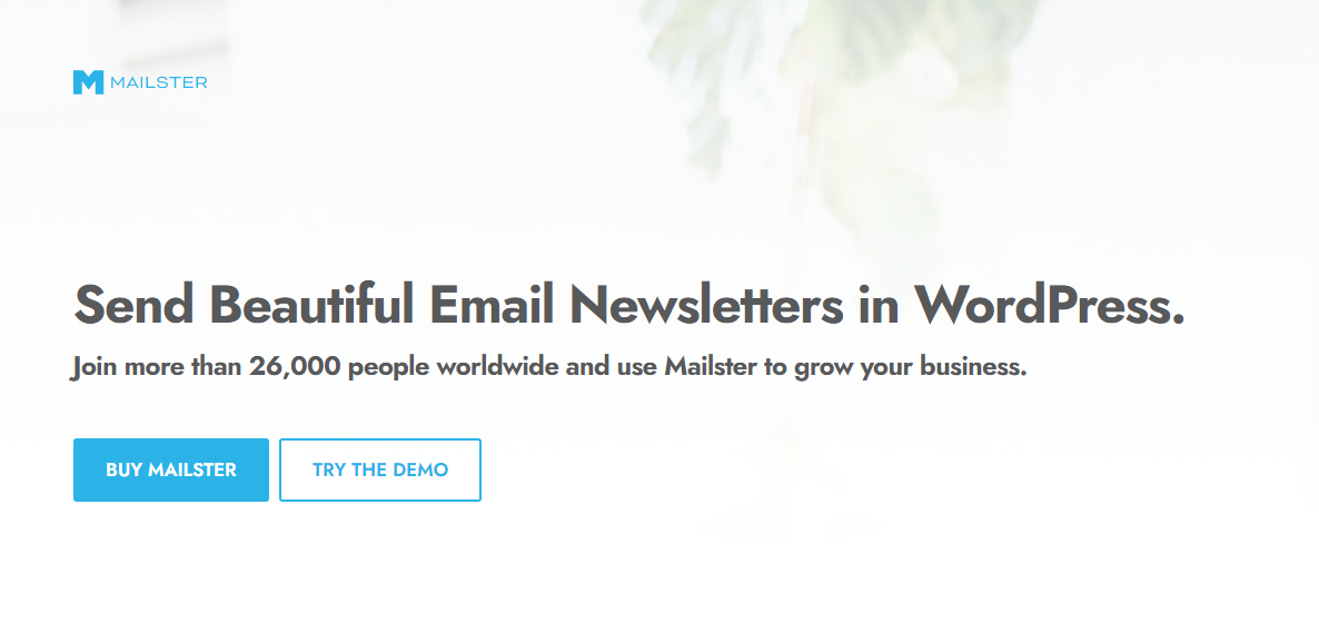 mailster email newsletters wordpress