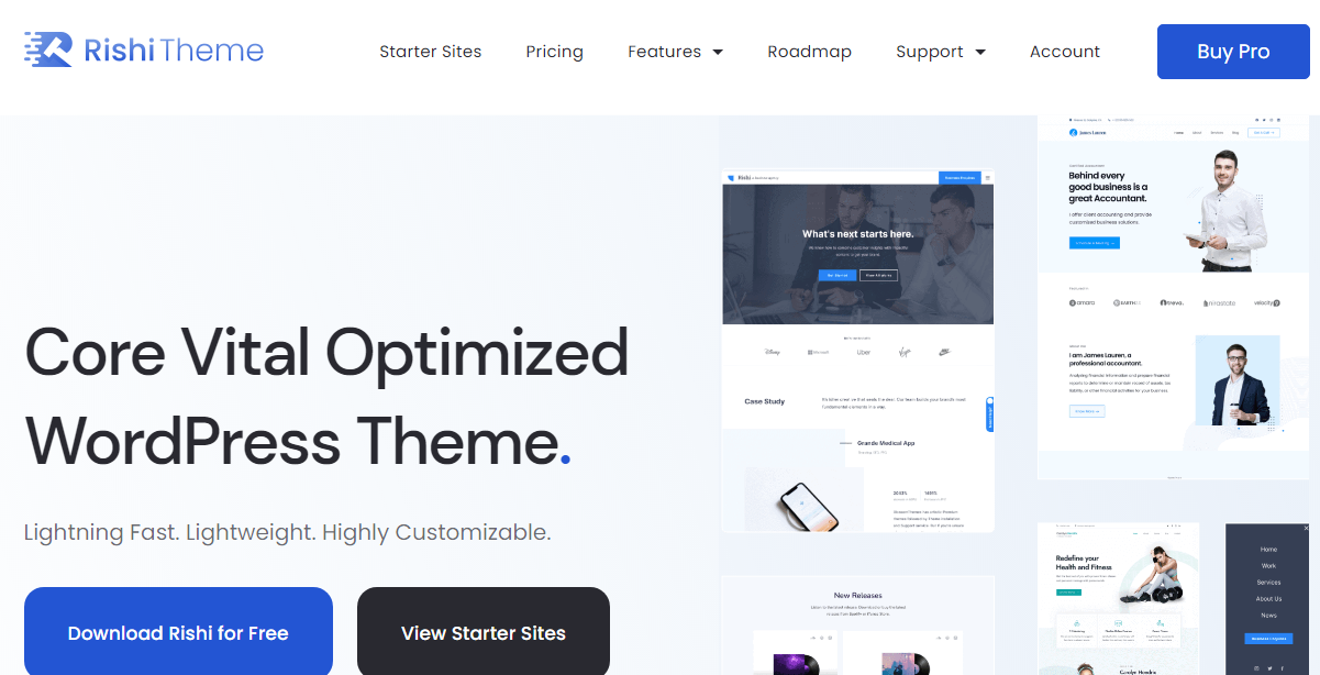 rishi theme optimized wordpress theme