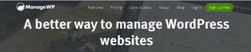 wordpress-website-manage-wp