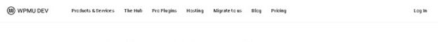 wordpress-website-wpmu-dev-blog