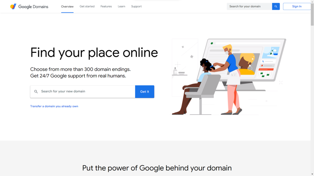 Indian Domain for Best Google Results