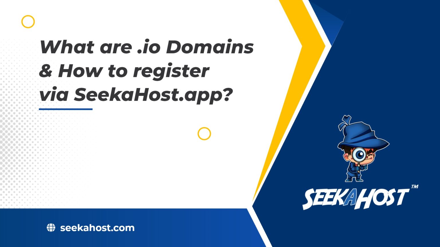 What Are .io Domains Used for & How To Register Via SeekaHost.app