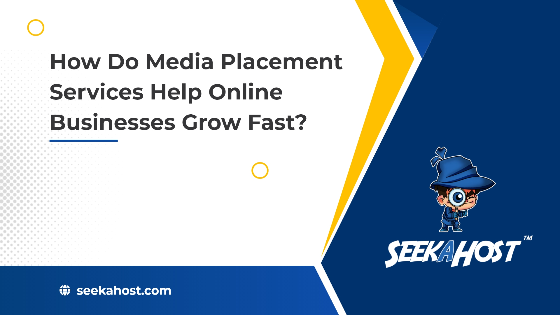 media-placement-service-to-grow-businesss