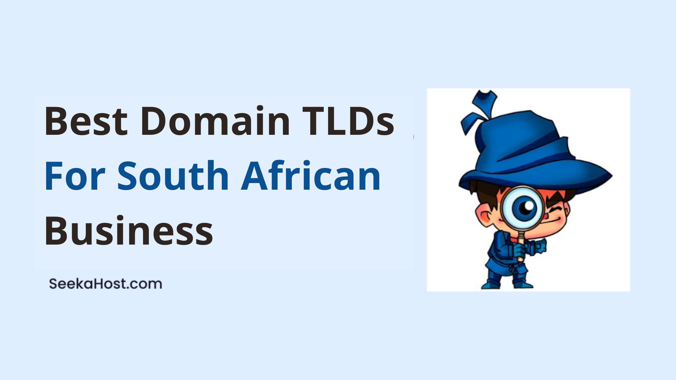 Domain Registration In South Africa