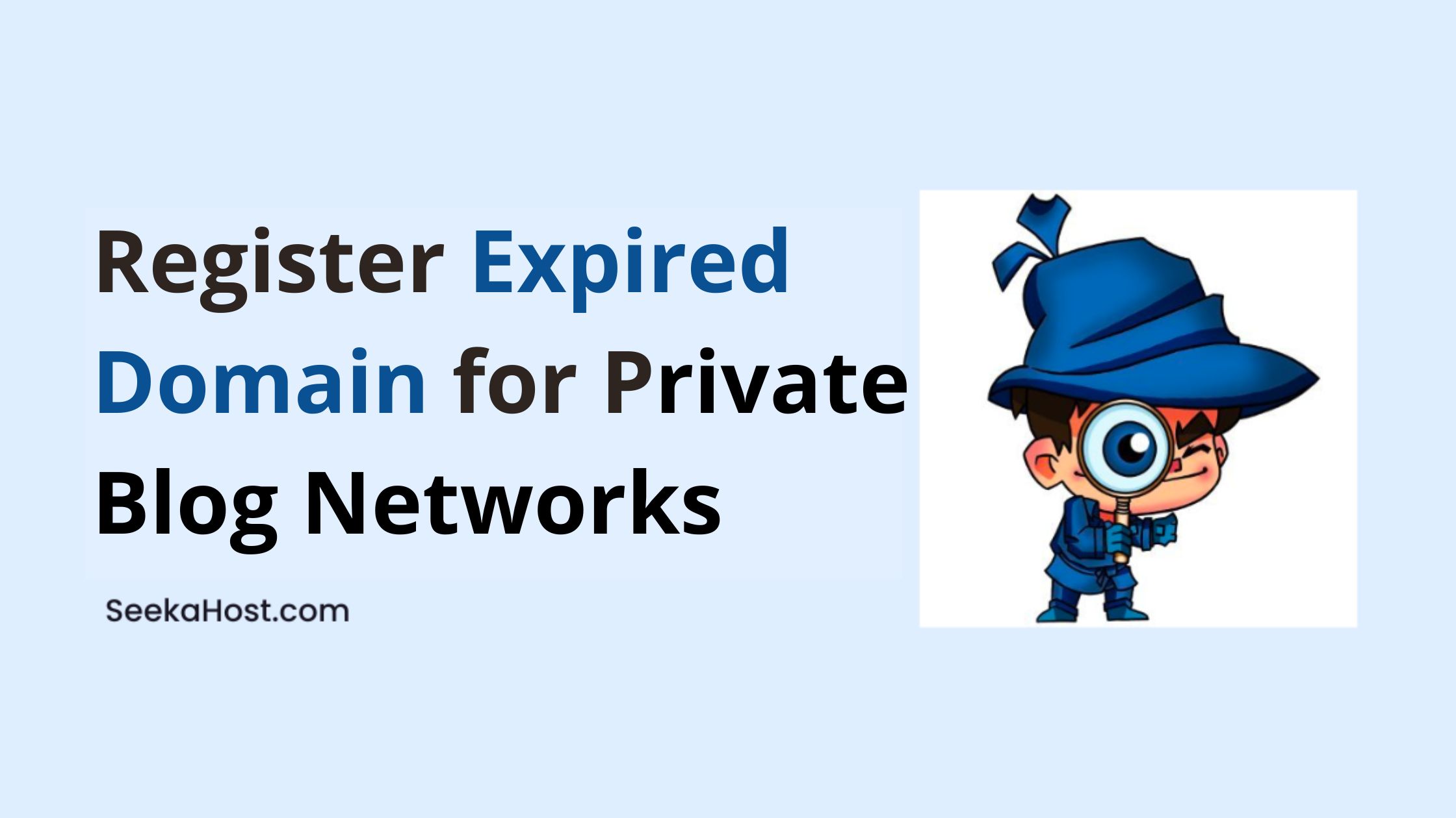 Expired Domain for Private Blog Networks