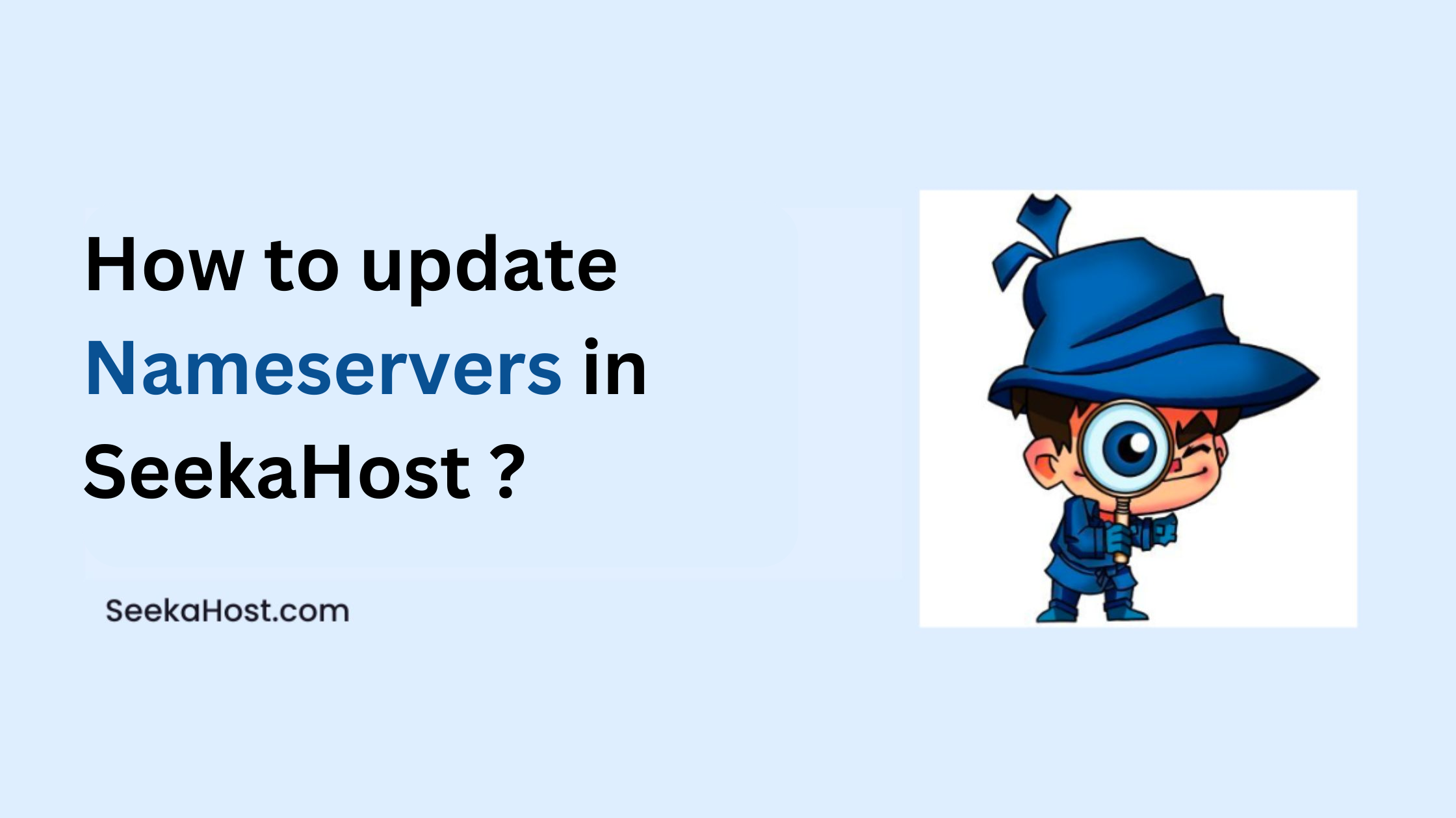 How to update Nameservers in SeekaHost