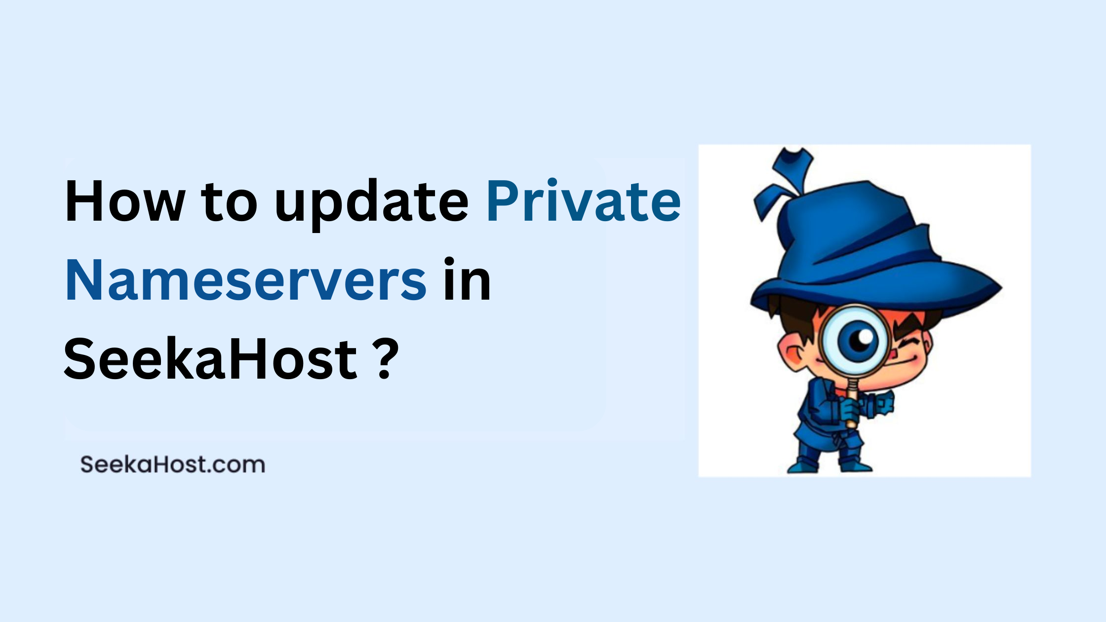 How to update Private Nameservers in SeekaHost