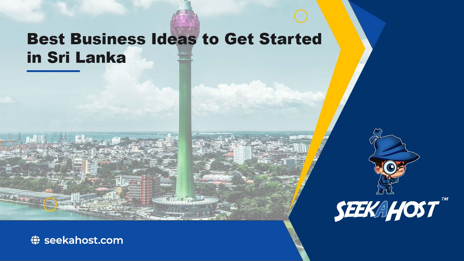 best-business-ideas-to-get-started-in-sri-lanka